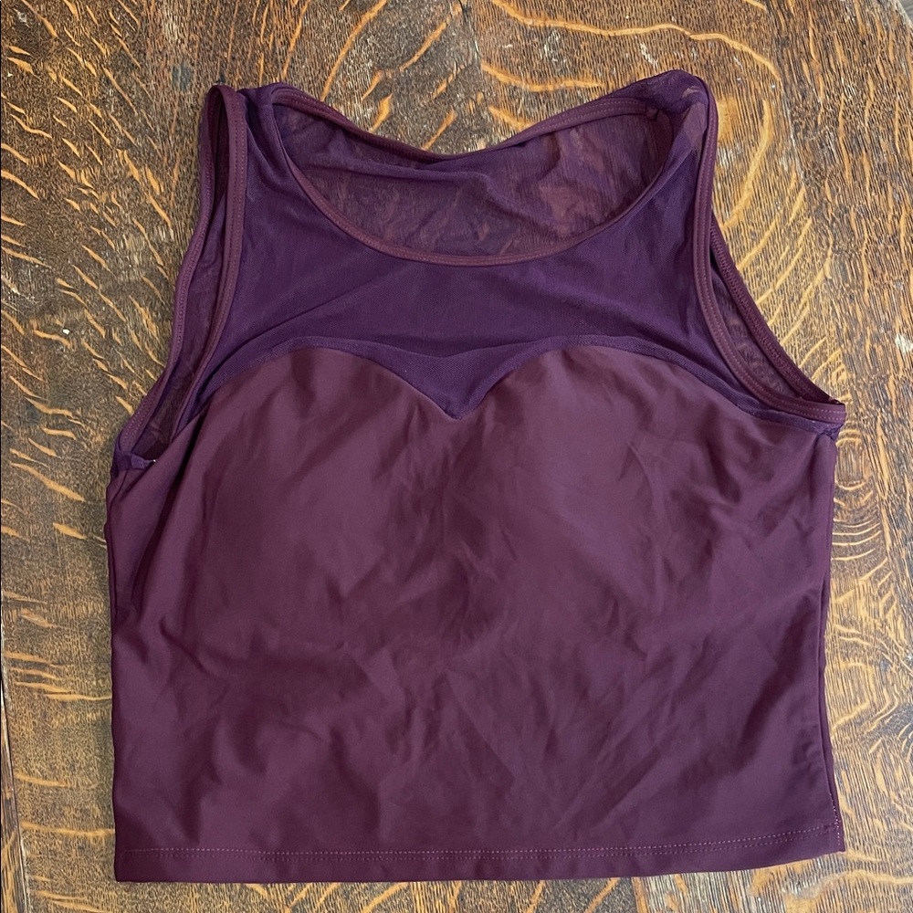 Kortni Jeane Plum Mesh-Panel Crop Swim Top